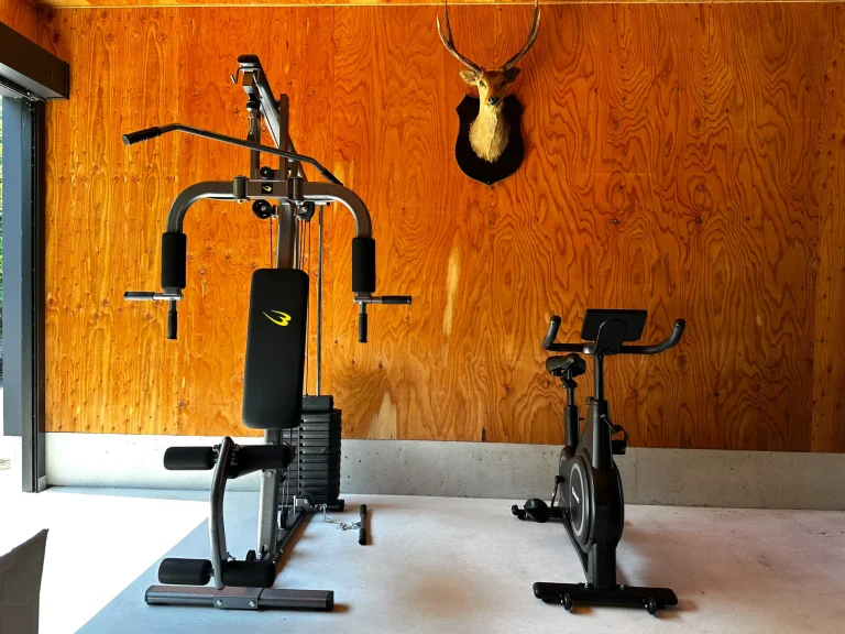 emus villa トレーニングジム