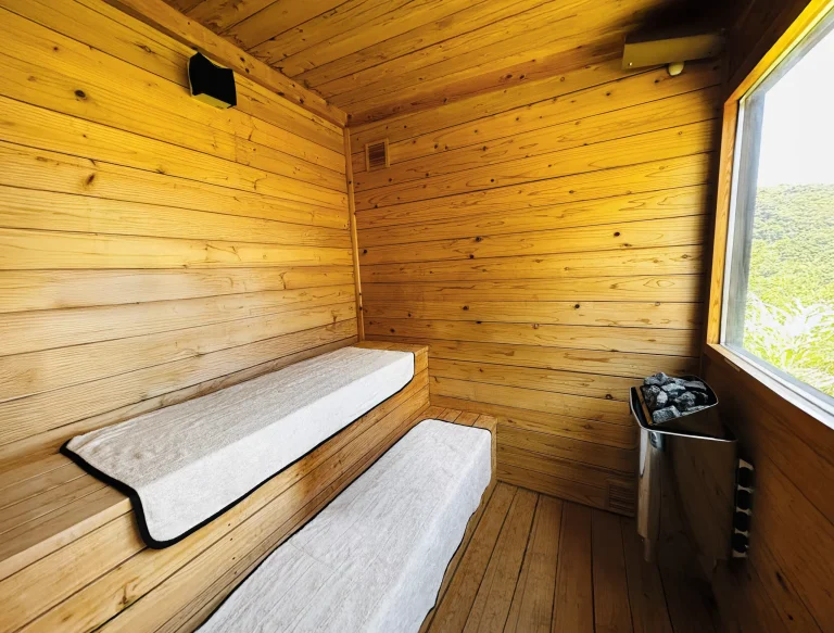 エミュヴィラ　サウナ